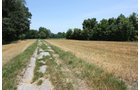 Property photo 15 - AUCTION POSTPONED
